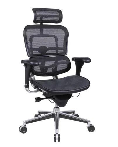 Ergohuman Classic Comfort Mesh Chair