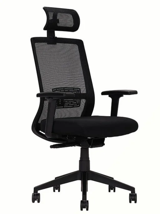 Executive Chair/NLEX-116