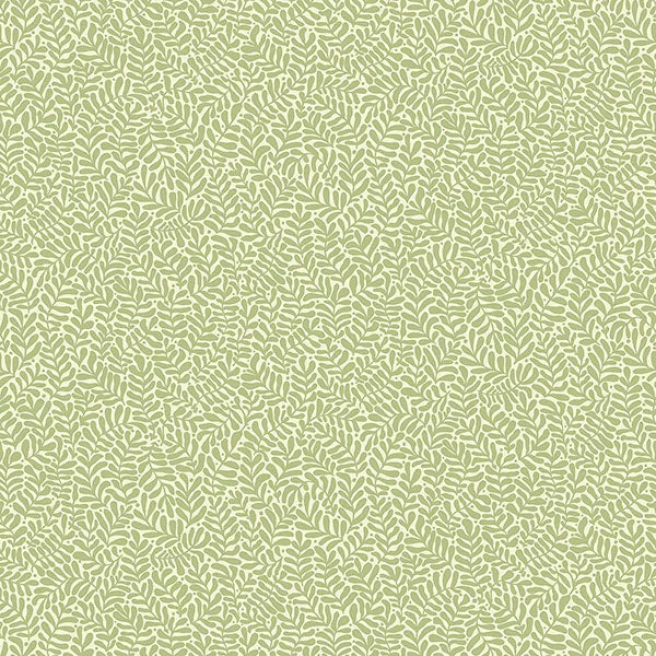 Anna Light Green Fern Trail Wallpaper