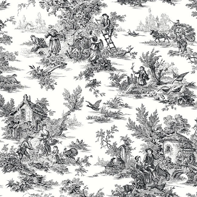 Campagne Toile Wallpaper in Black and White