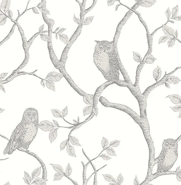 Enchanted Forest Grey Owl & Tree Wallpaper from the Essentials Collection