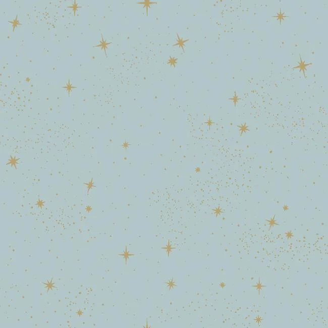 Upon A Star Peel & Stick Wallpaper in Blue